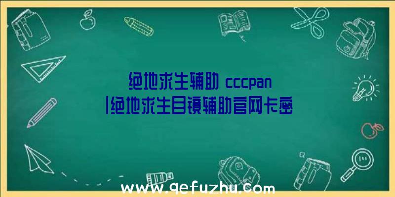 「绝地求生辅助